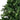5ft Premium Potted Artificial Christmas Tree