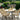 Greneda 6 Seater Dining Set Natural Outdoor Table With Chairs