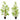 2 Charleston Artificial Bamboo Tree in Pot (Set of 2)