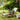 Folding Wooden Sun Lounger - Cream