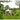 3m x 3m Garden Gazebo - Cream