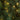 7ft Belvedere Pre Lit Multifunction Christmas Tree FAST DELIVERY TOP SELLER