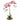 The Seasonal Aisle Orchid Centerpiece in Planter - Light Pink