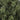 6ft Cashmere Tips Christmas Tree Holiday Indoor Decor
