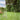 Sportspower Swing with Rebound Net and Basketball Hoop Kids Garden Play