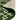 Luxe Chain Green Wool Cut Pile Rug 120x170cm Patterned Living Room Floor