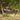 Hammock with Metal Stand Black White Steel Frame Garden