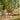 Global 2 Seater Garden Bistro Beige Outdoor Furniture Set